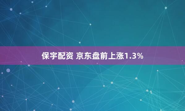保宇配资 京东盘前上涨1.3%