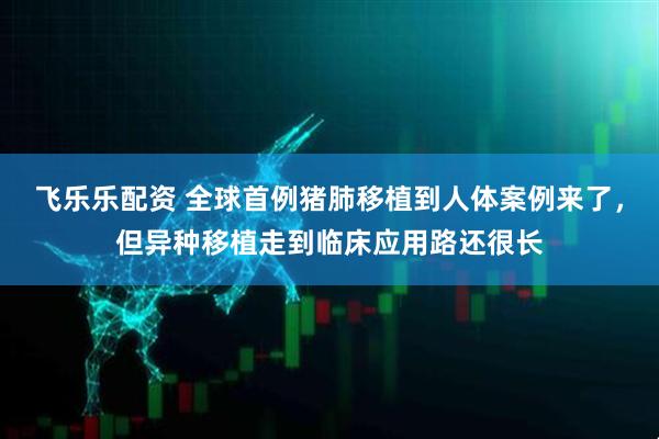 飞乐乐配资 全球首例猪肺移植到人体案例来了，但异种移植走到临床应用路还很长