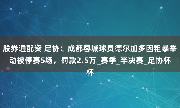 股券通配资 足协：成都蓉城球员德尔加多因粗暴举动被停赛5场，罚款2.5万_赛季_半决赛_足协杯