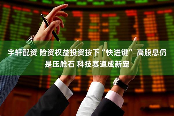 宇轩配资 险资权益投资按下“快进键” 高股息仍是压舱石 科技赛道成新宠